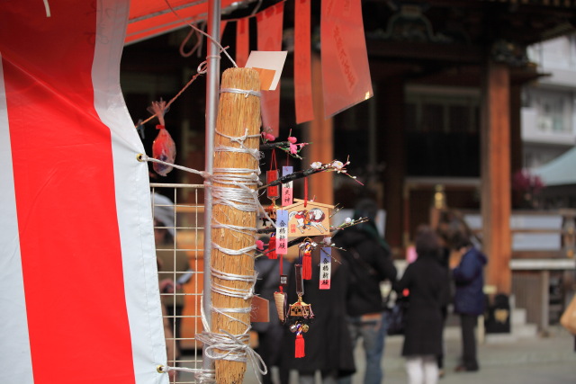 2月の湯島天神 1402137959 湯島天神 絵馬 梅まつり 文京区湯島 thumbnail