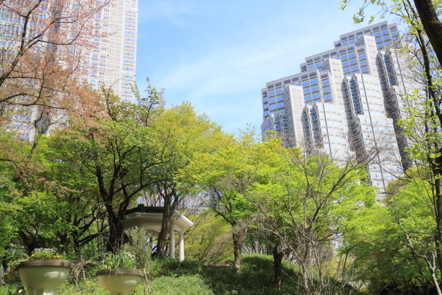 4月の新宿中央公園 1404121754 新宿中央公園 六角堂 東京都庁本庁舎 富士見台 新宿区西新宿 thumbnail