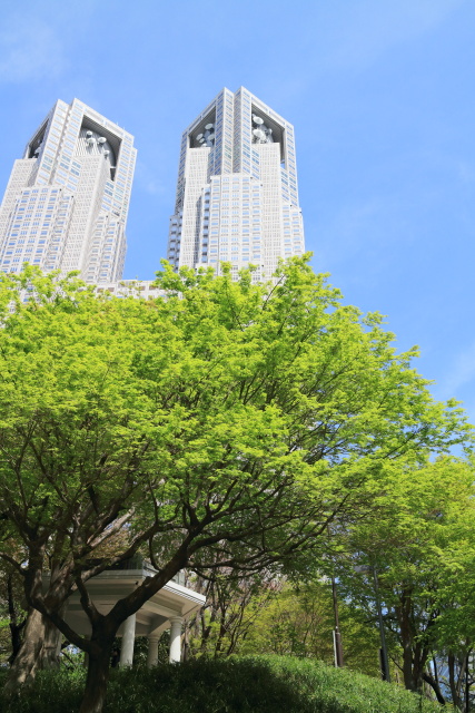 4月の新宿中央公園 1404121774 新宿中央公園 木蓮 六角堂 東京都庁本庁舎 富士見台 新宿区西新宿 thumbnail