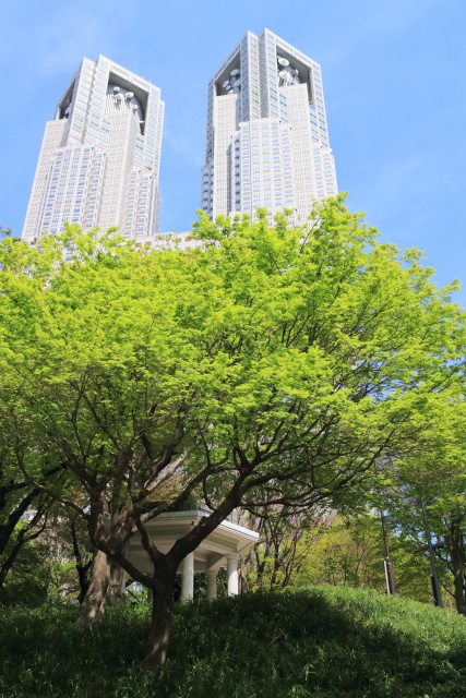 4月の新宿中央公園 1404121776 新宿中央公園 木蓮 六角堂 東京都庁本庁舎 富士見台 新宿区西新宿 thumbnail