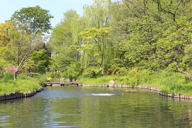 4月の見頃見所 1404256899 向島百花園 墨田区東向島 thumbnail